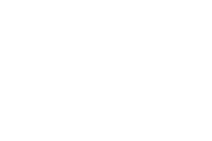 Mulden Express